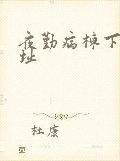 夜勤病栋下载地址