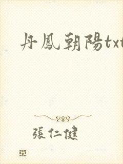丹凤朝阳txt