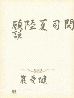 顾陆夏司闵郁小说