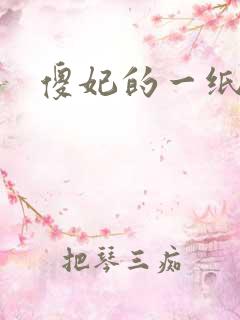 傻妃的一纸休书