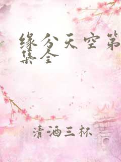 缘分天空第12集全