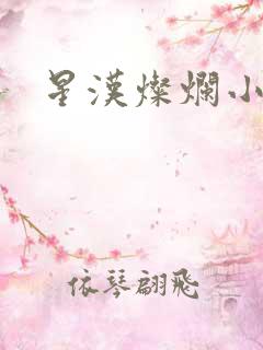 星汉灿烂小说
