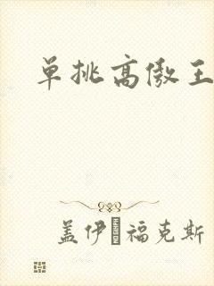 单挑高傲王子