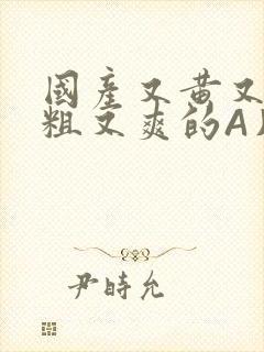 国产又黄又猛又粗又爽的A片小说