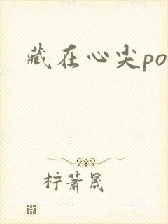 藏在心尖poH