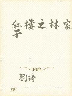 红楼之林家庶长子