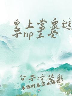 皇上当众进入太子np主受