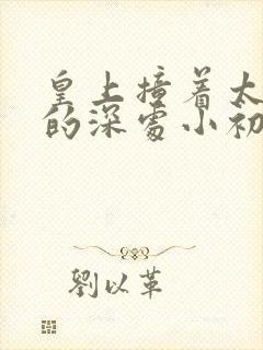 皇上撞着太子妃的深处小初