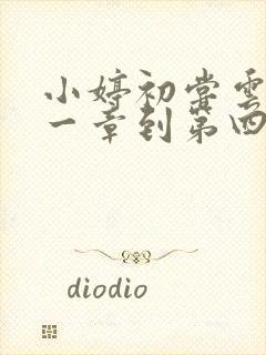 小婷初尝云雨第一章到第四章