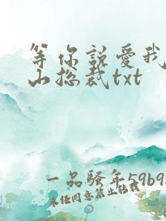 等你说爱我之冰山总裁txt