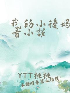 我的小后妈免费看小说