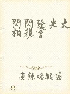 闪闪发光大团圆相亲会