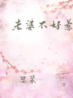 老婆不好惹