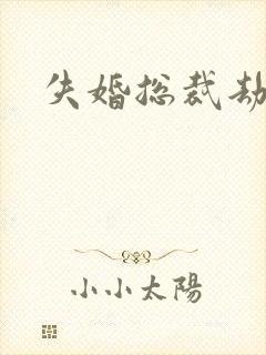 失婚总裁劫前妻