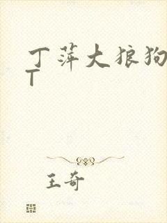 丁萍大狼狗TXT