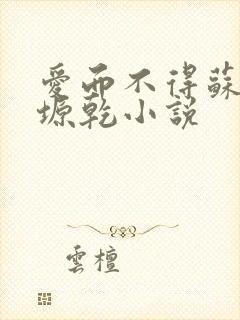 爱而不得苏路顾塬乾小说