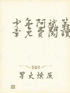 少年阿斌第13章免费阅读