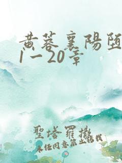 黄蓉襄阳堕落史1一20章