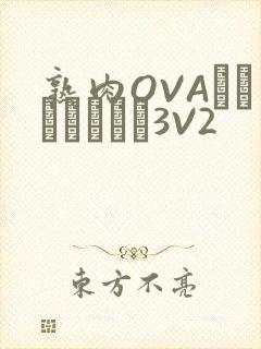 熟肉OVAちゃんはしたい3V2