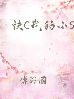 快C我的小SB