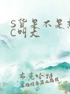 S货是不是想挨C叫大