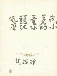 低头看着我是怎么玩你的小说