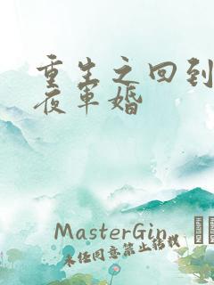 重生之回到新婚夜军婚