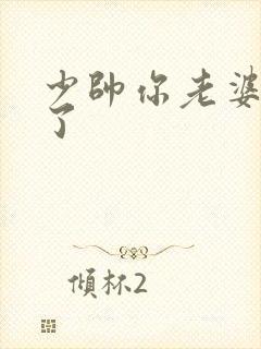 少帅你老婆又跑了