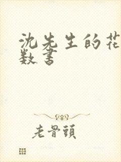 沈先生的花式调数书