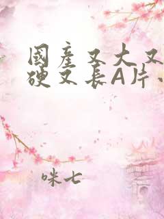 国产又大又粗又硬又长A片小说