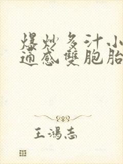 爆炒多汁小美人通感双胞胎