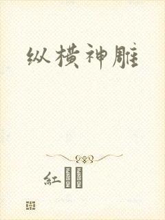 纵横神雕