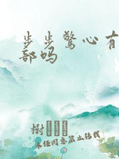 步步惊心有第二部吗