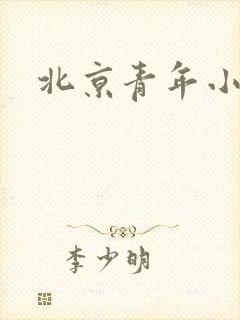 北京青年小说