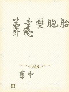 第章双胞胎姐妹齐飞