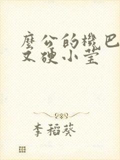 么公的机巴又粗又硬小莹