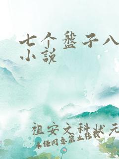 七个盘子八个碗小说