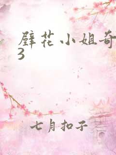 壁花小姐奇遇记3