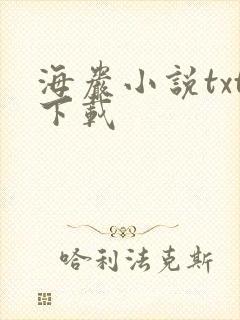 海岩小说txt下载