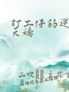 打工仔的逆袭楚天娇