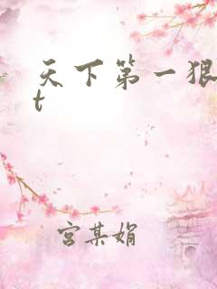 天下第一狠txt