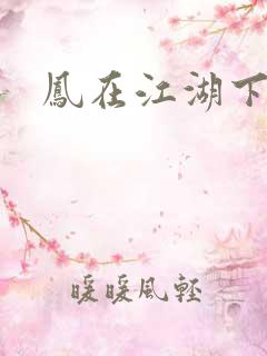 凤在江湖下载