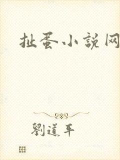 扯蛋小说网