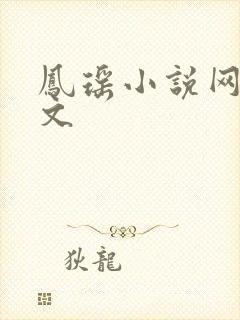 凤瑶小说网高辣文