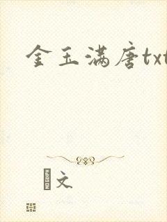 金玉满唐txt