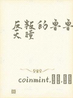 反叛的鲁鲁修之天瞳