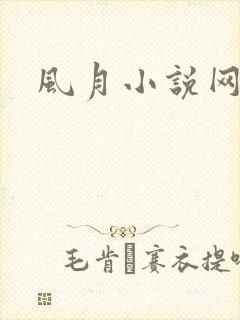 风月小说网