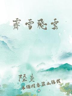霁雪飞云