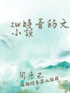 zw时看的文案小说