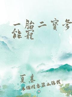一胎二宝爹地超能宠
